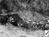 DSC07984.JPG